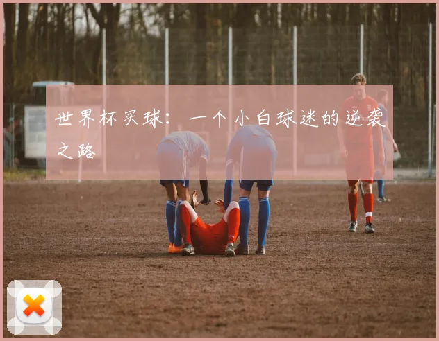 世界杯买球:一个小白球迷的逆袭之路