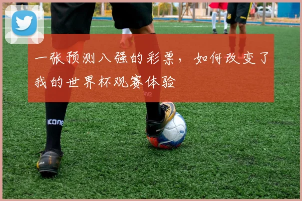 一张预测八强的彩票,如何改变了我的世界杯观赛体验