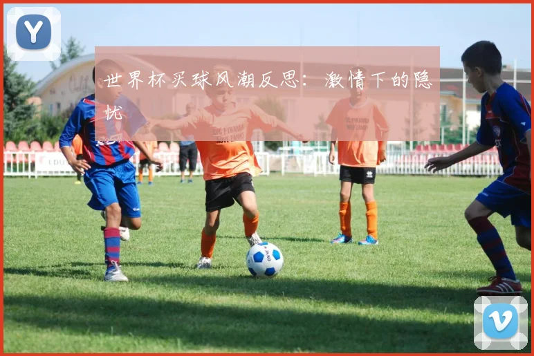 世界杯买球风潮反思:激情下的隐忧