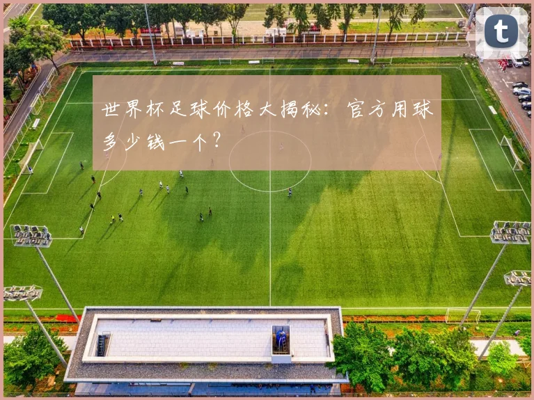 世界杯足球价格大揭秘:官方用球多少钱一个?