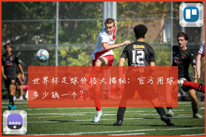 世界杯足球价格大揭秘:官方用球多少钱一个?