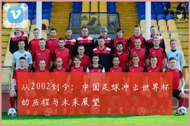 从2002到今：中国足球冲击世界杯的历程与未来展望