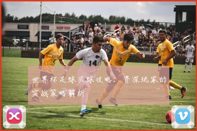 世界杯足球买球攻略:资深玩家的实战策略解析
