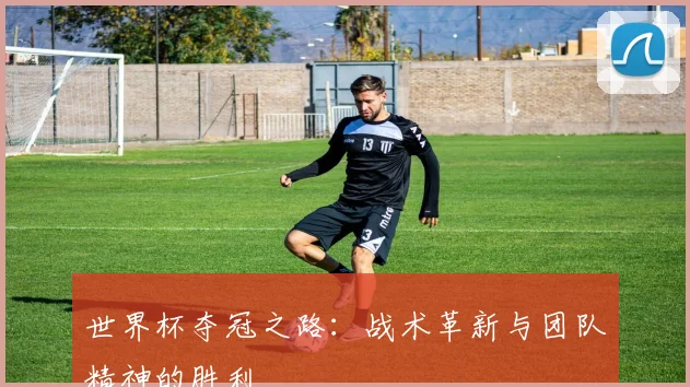 世界杯夺冠之路:战术革新与团队精神的胜利